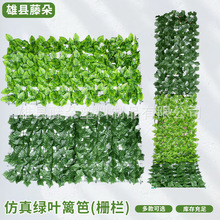 �羳����ֲ��h�ʠ��������ϲ�ƺ�G�~�řھGֲ�̨�����b���