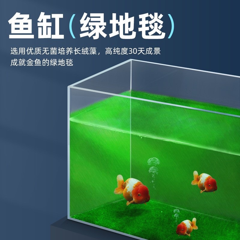 yee 蘭壽長絨藻短絨藻孢子綠水藻魚缸爆藻綠藻綠苔種造景金魚飼料