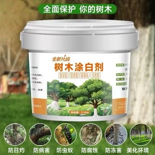 ��ɘ�ľ�T�ׄ����x�����������o����@��ˢ��ֲ���������ʯ�ҷ�