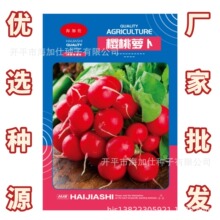 С}Nӡ2ˡˬС}яS߲˷Nl