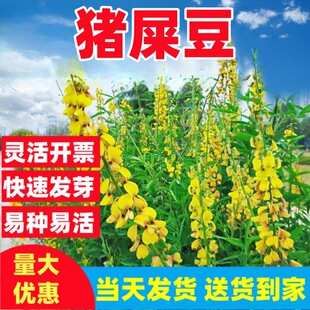 �²��iʺ���N��̫���N���o�¹�ľͥԺ�@�־G���E�A�iʺ���ͺ�