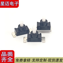 DS-437o_Pp|_PλP_Pˮiԏ͎o_P