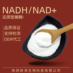 99% NADH還元型コエンザイムi NAD + ミトコンドリア素品質保証還元性NAD + 工場直送