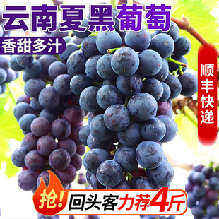 ����ĺ����џo����S���rˮ��������2026���Юa���ٰlһ�����l��