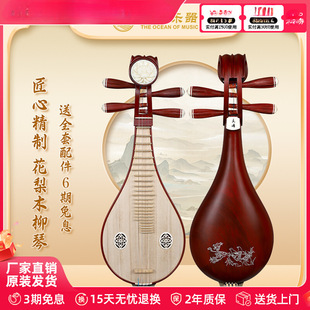 Liuqin Instrument African Rosewood Copper Fine-Tuning Rosewood Liuqin Flower and Bird Pattern 12-