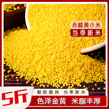 黄小米粥小黄米新米5斤赤峰小米新鲜农家养胃五谷杂粮