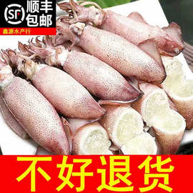 6斤全籽籽乌满籽海兔子笔管鱼鱿鱼仔新鲜海鲜批发1源头工厂跨境