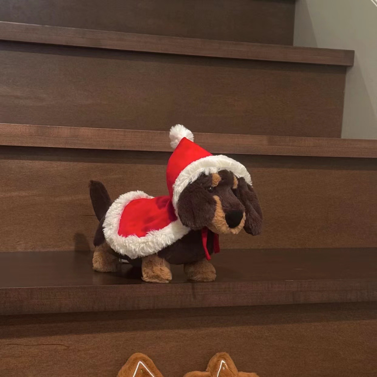 コレクション1;