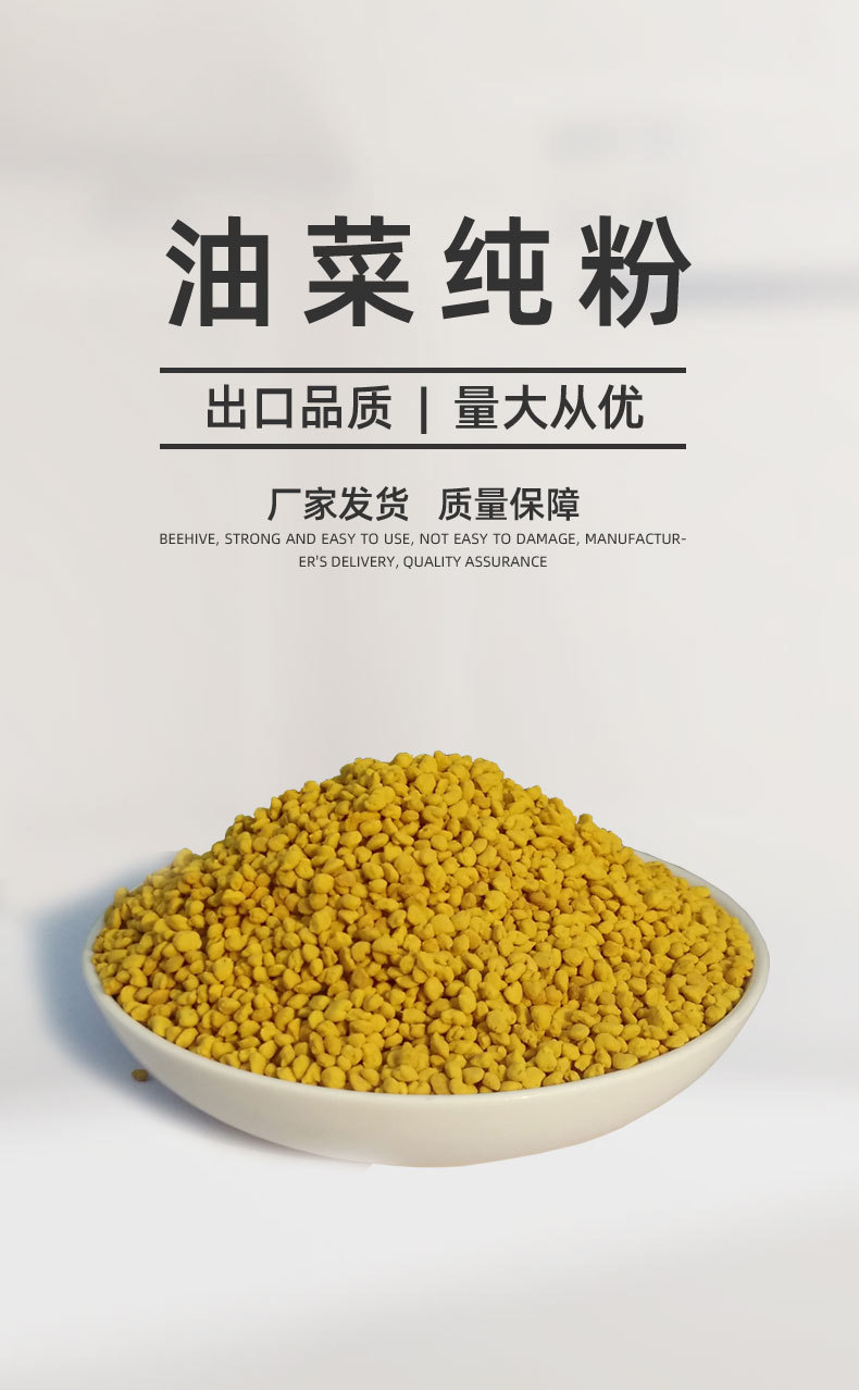 Rapeseed Bee Pollen (Brassica napus) — Qinghai Large-Granule Edible Pollen, 500g Bulk overview