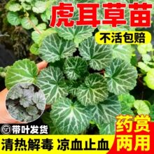 �������^�p��ș�Ãrֵ���rֲ��e�������X�绢�������Խ�z���~��