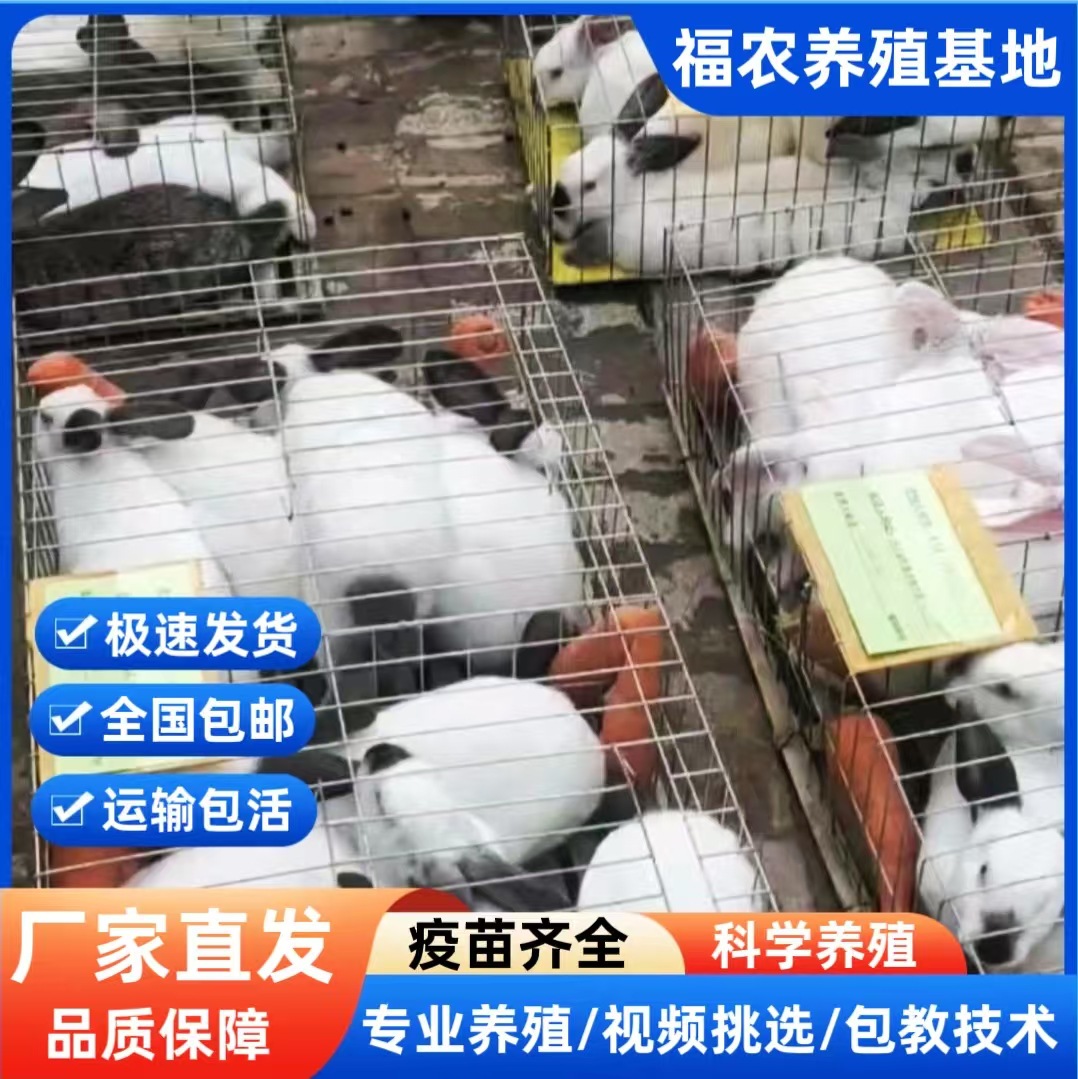 微信图片_20250311165745