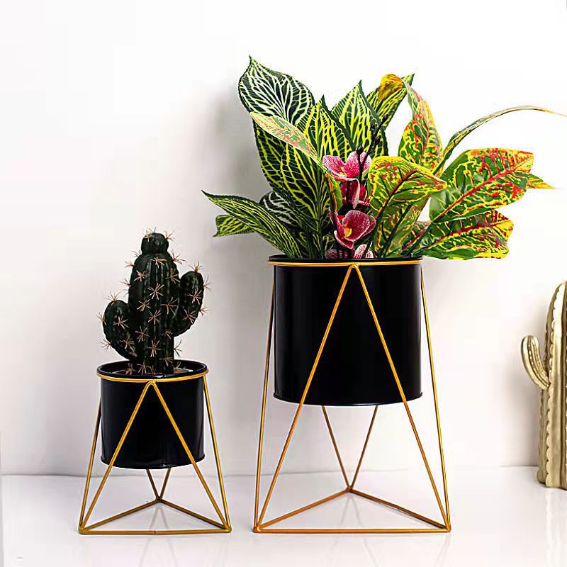 微信图片_2021101518441614