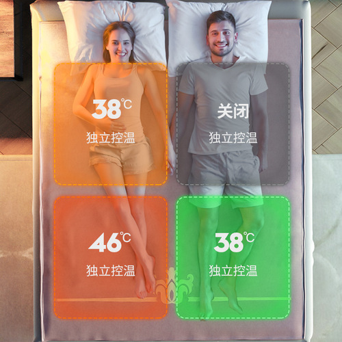 German TINME electric blanket single double four-zone temperature control home mite removal electric mattress dormitory radiation students