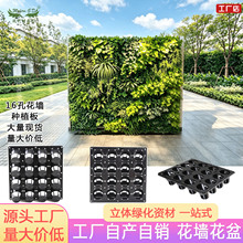 ���w�G��������PP���|�ڒ�ʽ�Nֲ����廨�Nֲ�L���κ��s��׻���