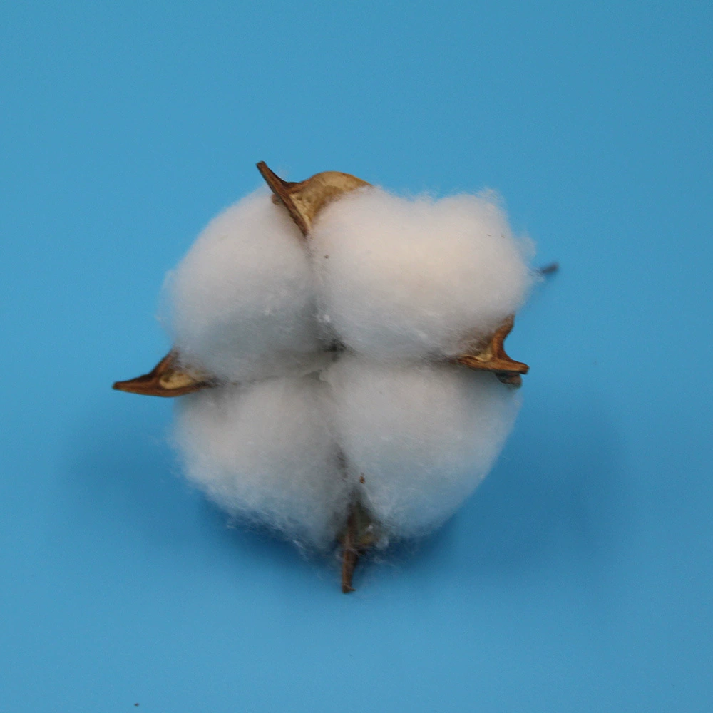 Хлопковые сухоцветы, искусственный хлопок, натуральные цветы капока, принадлежности для украшения рождественских венков, бессмертные цветы с белой головкой.