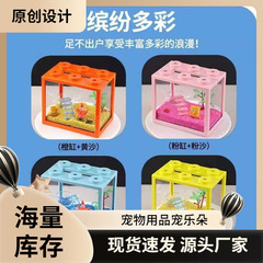 小豆丁寄居蟹套餐寄居蟹活体饲养套装儿童礼物桌面萌宠饲养盒直销