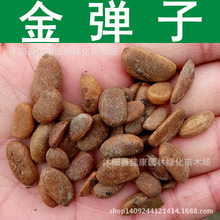 ��ľ�N�� �����ӷN�� ƿ�m�N�� ��ƿ�m ������ 1��=1��