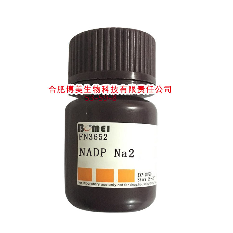 NADP Na2 氧化型辅酶Ⅱ二钠   ≥98% 科研实验试剂CAS:24292-60-2