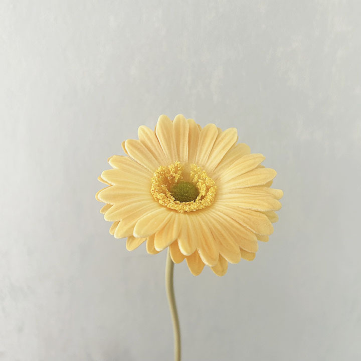샴페인