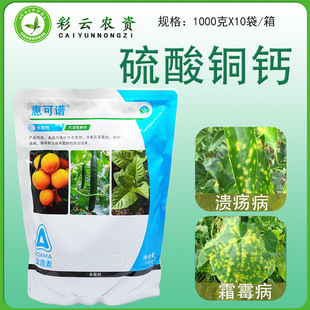 �������ݿ��V�����~�����}˪ù�����ٝ����󽪸������蚢����