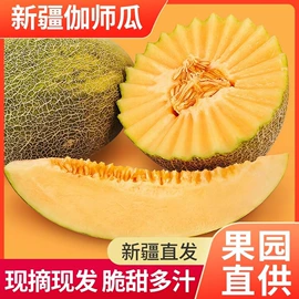 红枣干;其他水果;葡萄干