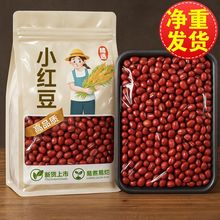 �¼t���r�ҽ�������s�Z�tС��޲�׳�С���t�����׳�ɳ���b����