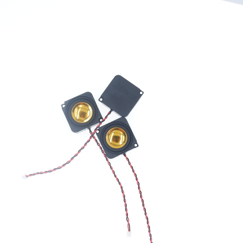方形2828腔体喇叭8Ω/4Ω2W全频内磁4欧2瓦BOX喇叭家电扬声器单元|undefined