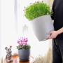 加厚欧式环保磨砂绿植