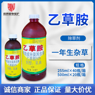 �I�r50%�Ҳݰ����݄������ﺵ���x����ѿǰ����β��ţ���s���rș