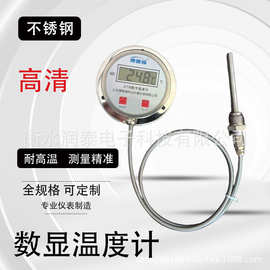 DTM-491数字双金属 高精度防水温度计 不锈钢工业数显测温表