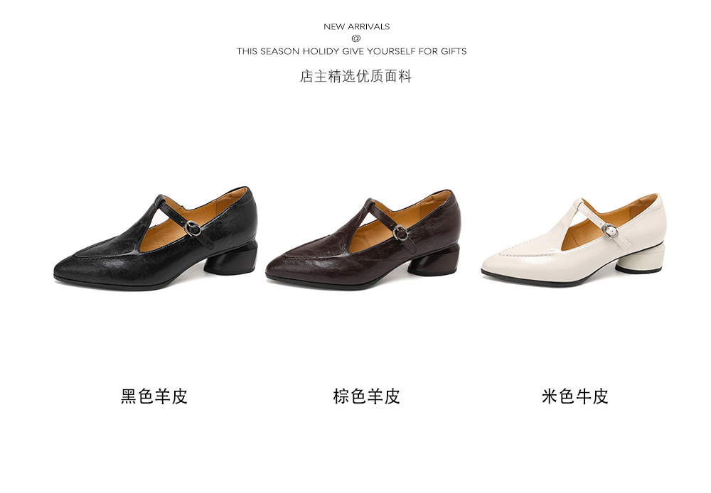 Giày Mary Jane nữ mũi nhọn quai T-khóa da cừu gót 4 cm — màu nâu chi tiết 6