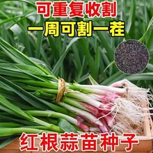 ·N~tƤļNNӷNѼtƤtƤN