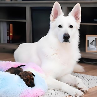 ���l���ƴ�����ʿ����Ȯ������w�������׵����Ѿ�Ȯ����Ȯ�o�lȮ