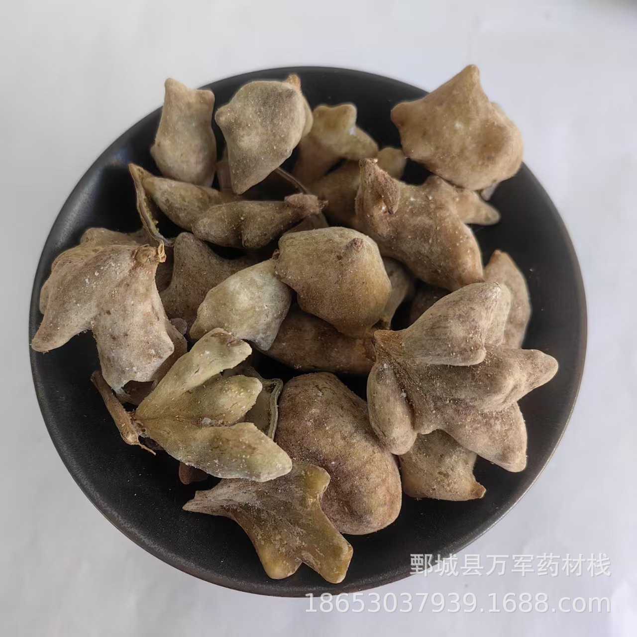 五倍子 万顺中药材 散装批发五倍子中药材 花倍 中药材批发五倍子