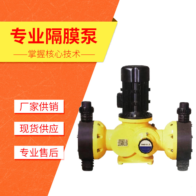 GB-S系列机械隔膜柱塞计量泵 加药泵 液体增压泵污水处理加药装置