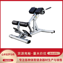 其他健身器材;哑铃;举重用品