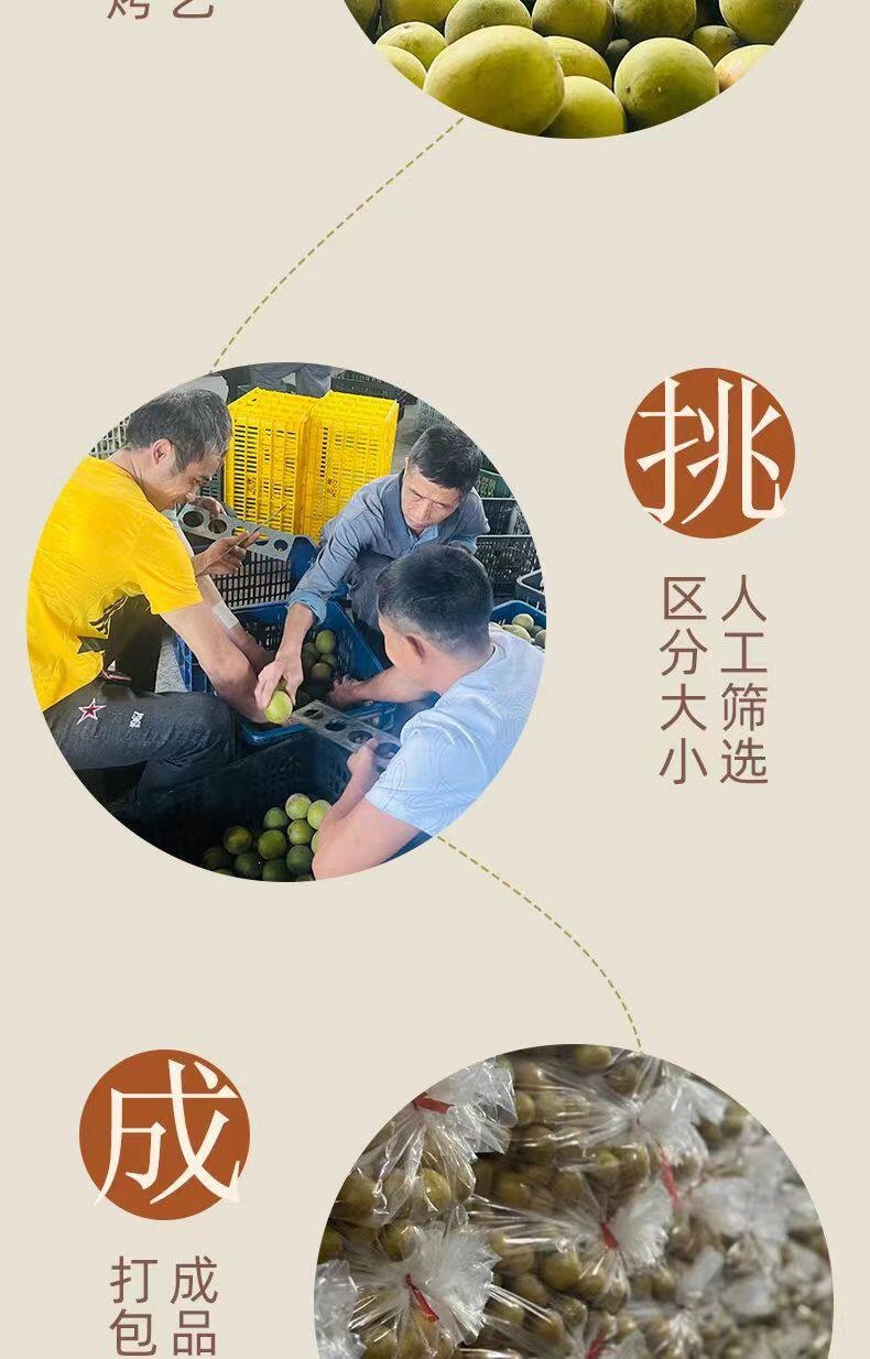 Premium Luo Han Guo Dried Monk Fruit Whole Fruits for Tea and Infusions 50 Extra Large Fruits Individually Wrapped specifications