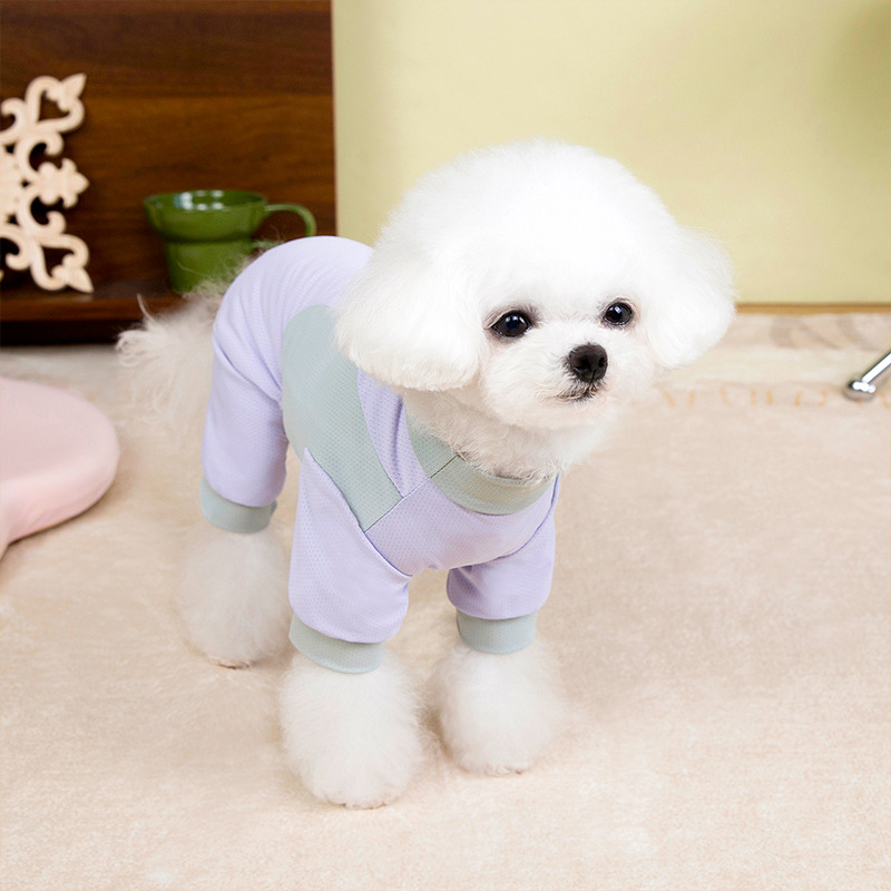 Perro de verano frío patas de impresión de piel marca de hielo de malla de cuatro patas abrigo frío al aire libre protección solar ropa de perro de mascota
