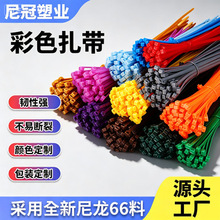 彩色自锁式尼龙扎带100工业园艺家用捆绑强力卡扣塑料束线带4*200