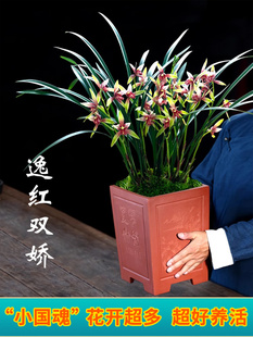 �F�����������m���罨�m�ļ��m С���� ���������҃Ȼ������Ժ��B