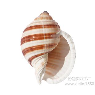 ������Ȼؐ�����ݶ��⻨��[�����߾�ؐ�~�ľ�з��ֳ���~���쾰