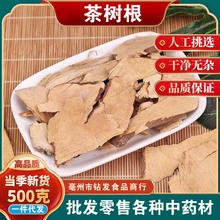 中药材 精选 老茶树根 茶叶树根 茶油树根 油茶树 茶子树500g包邮