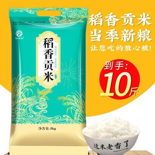 �|������10���峣��������5kg����ؕ���L������׈A����5��