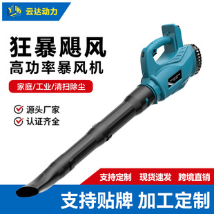 Lithium Battery Lithium Battery Blower Rechargeable Hair Dryer High Power Industrial Dust Cleaning Machine Wireless Blower Manufacturer in Stock