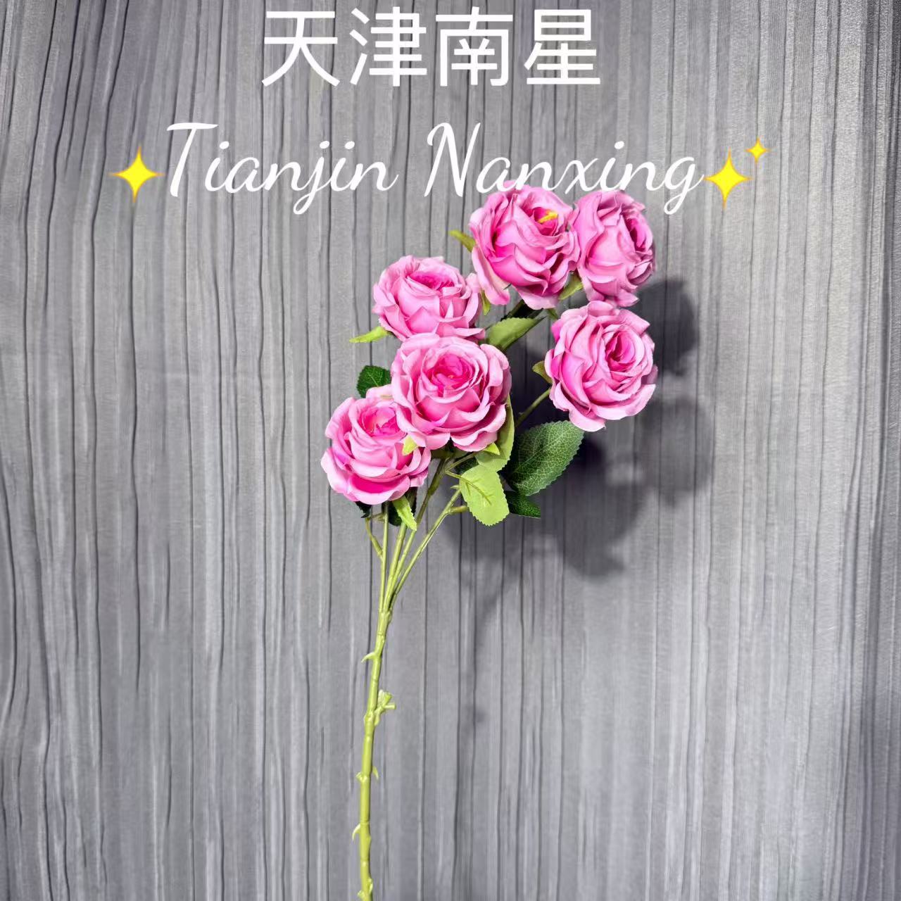 로즈 핑크