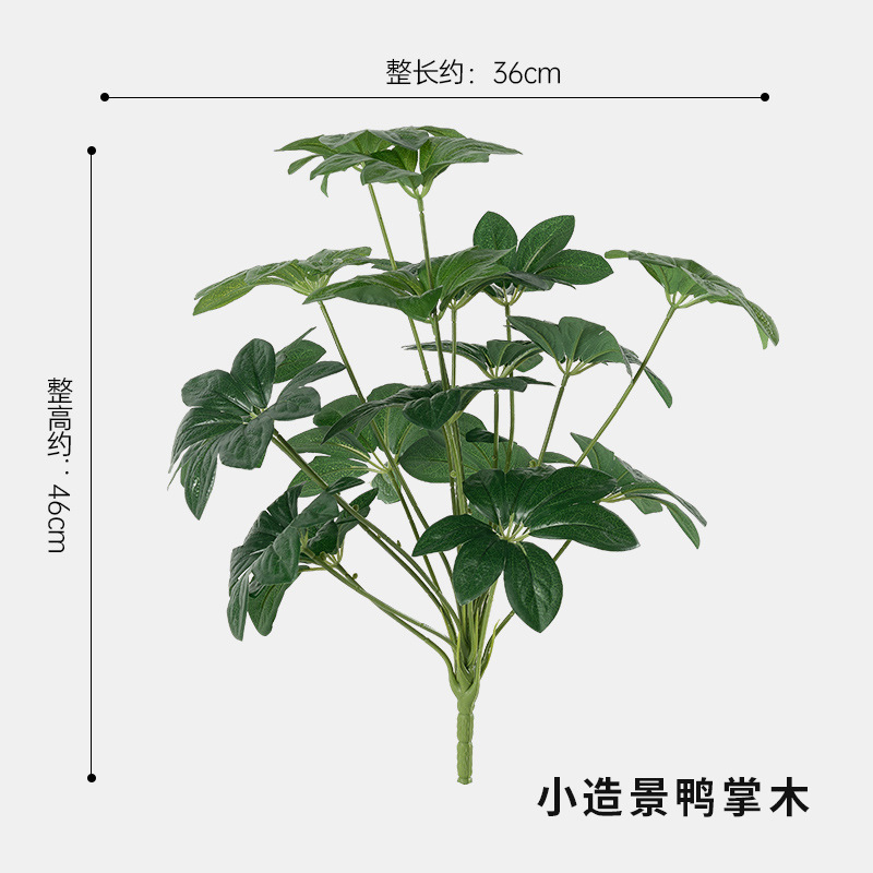 작은 조경용 오리발 나무