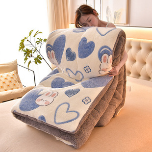 New Arrival Lamb Fleece Snowflake Fleece Quilt Winter Quilt Core Household Machine Washable Milk Fleece Single Double Spring and Autumn Quilt