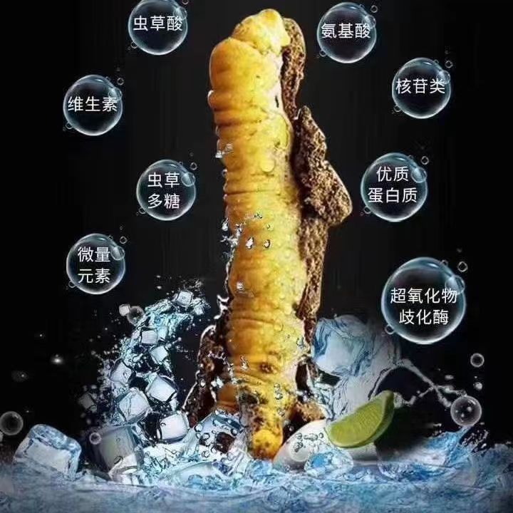 Cordyceps Sinensis Dong Chong Xia Cao Wild Caterpillar Fungus Dried Whole Pieces Nagqu Tibet Gift Box quality and texture