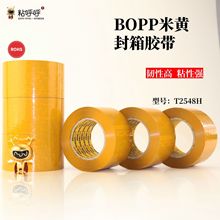 ���S͸���z�����f����������z���������xӡ���z�����l��ճ��