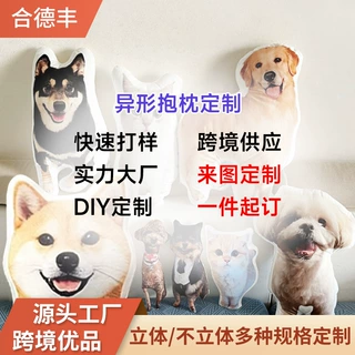 异形抱枕定制亚马逊diy不规则抱枕来图来样宠物卡通人物动漫抱枕